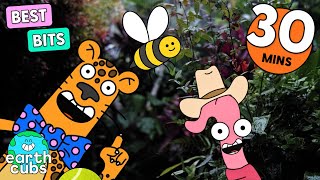 Super Cool Animal Facts! Best Bits with Earth Cubs 🌍 30 Mins Compilation | Cartoon for Kids