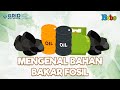Fossil Fuels and Their Impact