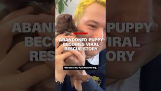Abandoned puppy becomes viral rescue story