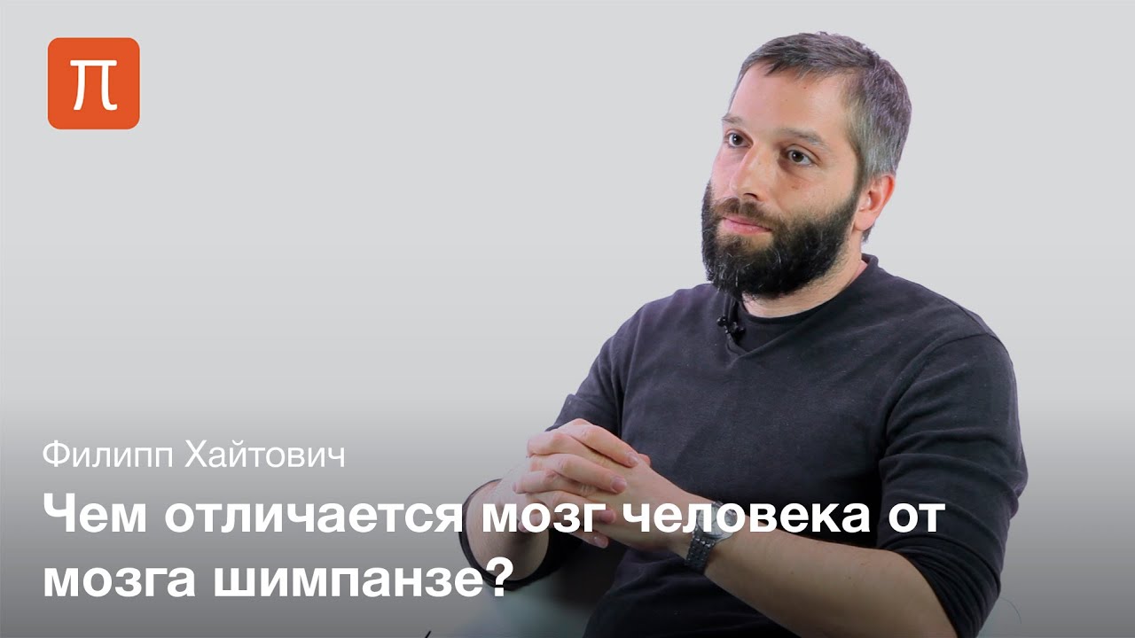 Молекулярная эволюция человеческого мозга - Филипп Хайтович