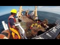 Fisheries Management and Science Concepts