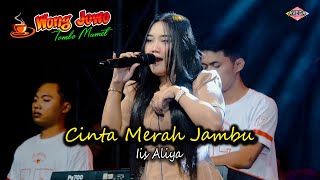 CINTA MERAH JAMBU   IIS ALIYA  WONG JOWO