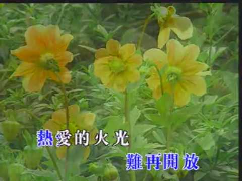 遲來的春天(第二版)_(譚詠麟)-KTV