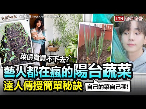 自己的菜自己種！0 失敗秘訣 - YouTube