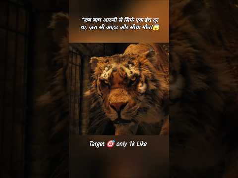 🤯"23 घंटों से टाइगर के साथ जेल में फंसा रहा आदमी ,फिर कैसे बची जान! #shorts