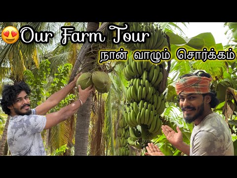😍Our 7 acre Farm Tour | part - 02 | honey Comb | TTF | Tamil