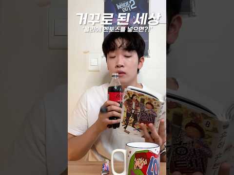 거꾸로 된 세상 ‘멘토스콜라’