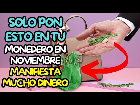 Solo pon esto en tu Monedero En Noviembre manifiesta Mucho Dinero