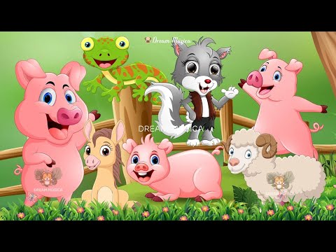 Animal sounds around us: Pig, Horse, Sheep, Iguana, Impala, Kitten - Animal videos