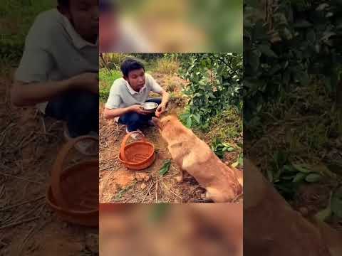 О такой матери можно только мечтать!