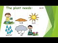 Plant Needs and Functions Assessment