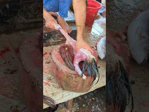 Wow!! Rusticย Perfect Size Desi Chicken Cutting Skills Beautiful Place ๐ฑ๐ฑ #shorts