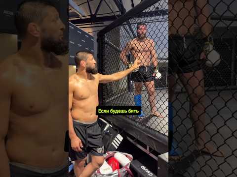 Хамзат Чимаев дает советы молодым 🐺 #ufc #mma #khamzatchimaev