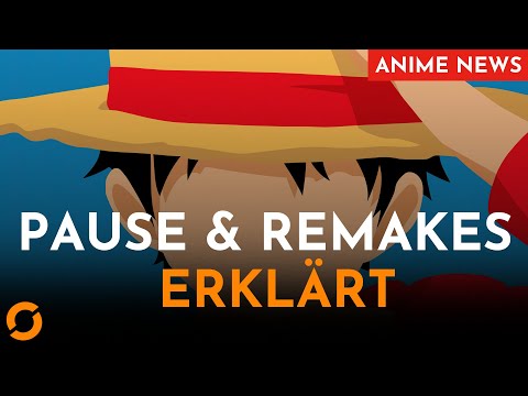 NOCH ein One Piece REMAKE?!!