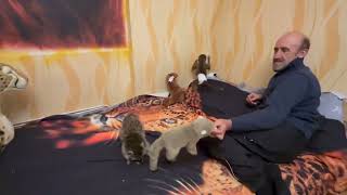 видео