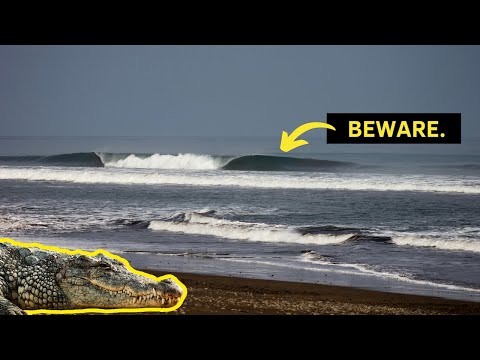 The World’s Most “Crocodile-Infested” Surf Destinations…