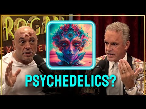 Jordan Peterson Was Shocked By What Joe Rogan Said