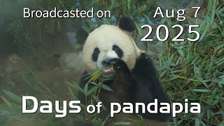 20250807 Broadcast Top Highlights 02