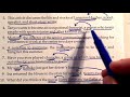 Exploring Appositives and Appositive Phrases