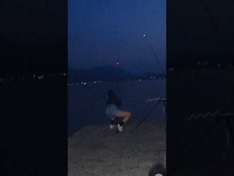 대물도 놔줄 줄 알아야 낚시꾼이지!!!방생의 미덕🤣 #fishing #원투낚시 #낚시 #낚시유튜버 #대물낚시 #방파제낚시