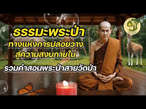 ธรรมะพระป่า ทางแห่งการปล่อยวาง สู่ความสงบภายใน | รวมคำสอนพระป่าสายวัดป่า