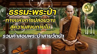 ธรรมะพระป่า ทางแห่งการปล่อยวาง สู่ความสงบภายใน | รวมคำสอนพระป่าสายวัดป่า