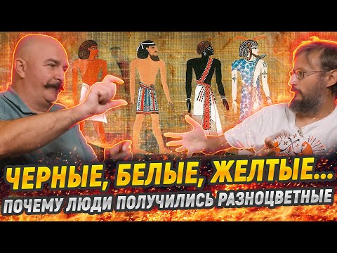 Жуков и Дробышевский: как появились расы и почему они такие разные