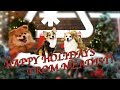 Star Wars Holiday Special Trivia
