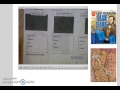 Gold Rush History and Impact