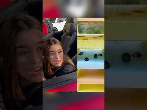 EMILY VICK COMPROU UM CARRO