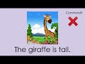 Understanding Command Sentences
