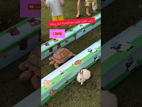 اللهم أغفر لنا من كل دنوب يارب العالمين #القرآن_الكريم #الاشتراك #الاسلام #ترند