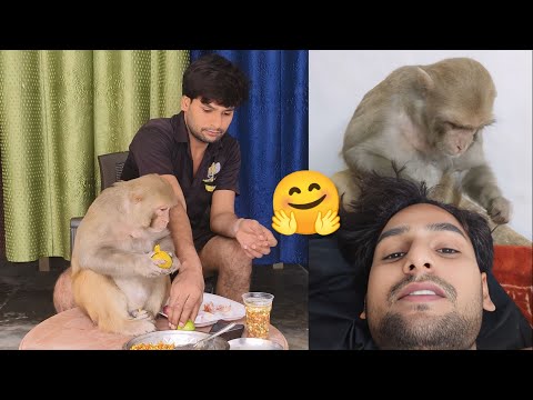 Cute Monkey rani Caring Akash ।। मंकी रानी मां की तरह व्यवहार करती है 🤗।।