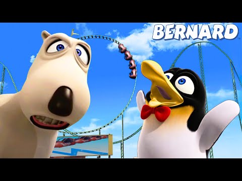 Niedźwiedź Bernard — Letnie Historie 🏖️🐻✨️ Kolekcja kreskówek 🍿 Super Toons TV - Bajki Po Polsku