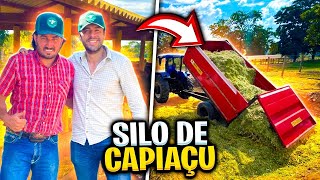 SILO DE CAPIAÇU APRENDA A FORMULA COMPLETA