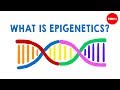 Epigenetics and Its Impact on Health