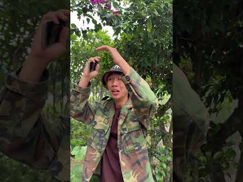 kind and brave puppy KO45  #trending #viralvideo #dog #shortsvideo #cartoon