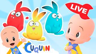 🔴DIRECTO🔴 Aprende  colores,  números y formas con Cuquín | Videos educativos