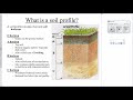 Soil Horizons and Their Characteristics