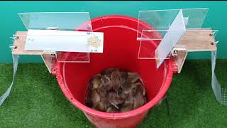 Top 10 trampa para ratones eléctricos / Las mejores ideas para trampas para ratas
