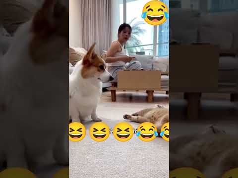 ชอบแกล้งน้อน