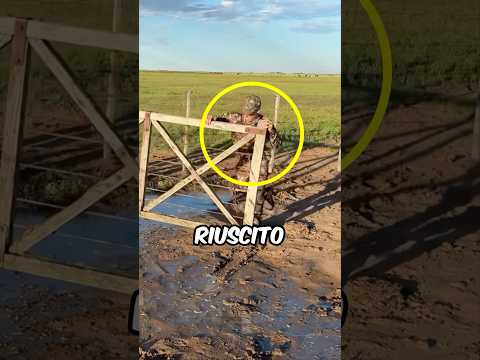 NESSUNO PENSAVA CHE CI SAREBBE RIUSCITO❤️ #virale #amore