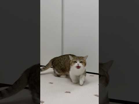 뭘 보냥!!!!!