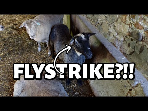 We've got MORE DRAMA with Billy's Mama!!  ...and it doesn't look good.