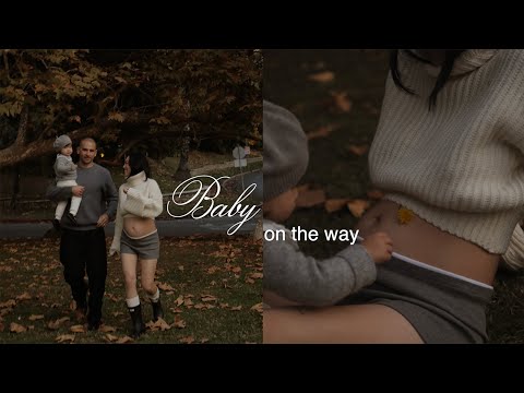 we're pregnant! | baby on the way