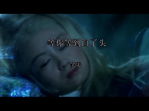 等你等到白了头-笑天-主唱 KARAOKE
