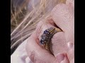 Diamond and Sapphire Three Stone Trinity Knot Engagement Ring Video - Gallery