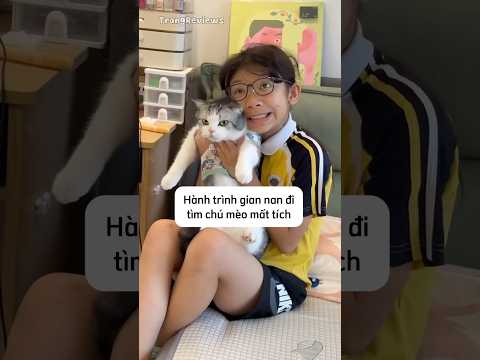 Hành trình gian nan đi tìm chú mèo mất tích #shorts ￼