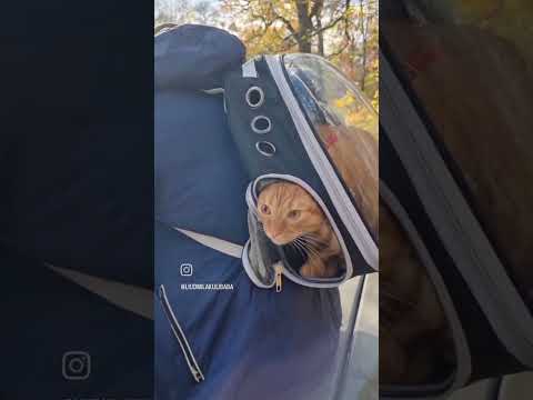 Кузя??