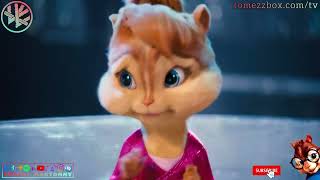 Nyota Ndogo - Siri | Tomezz Martommy | Chipmunks & Chipettes 